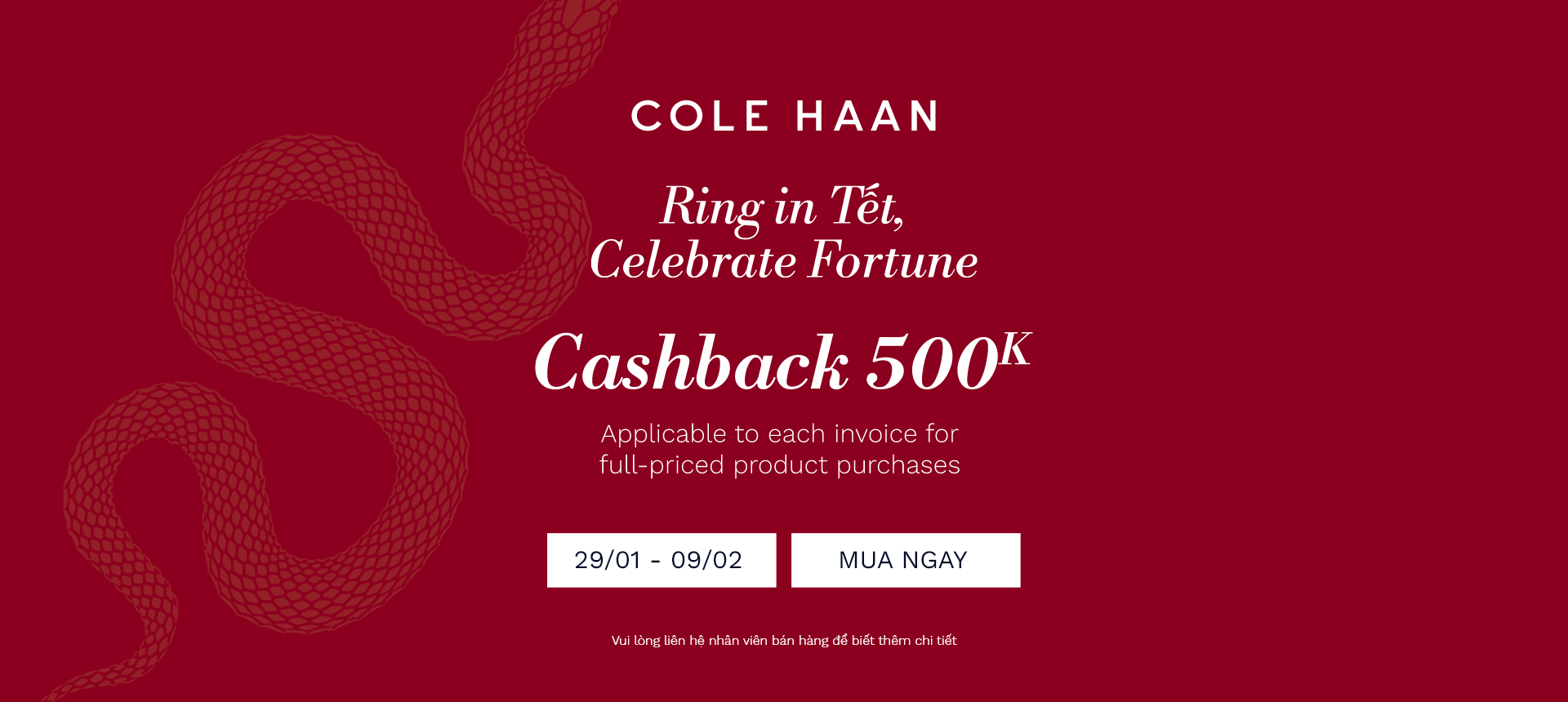 CELEBRATE THE NEW YEAR WITH COLE HAAN